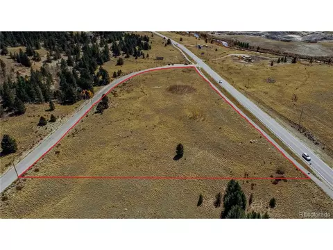 45 Platte River Dr, Fairplay, CO 80440