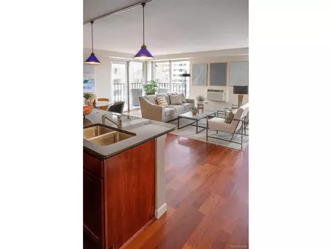 1150 Vine St #404, Denver, CO 80206 photo 4