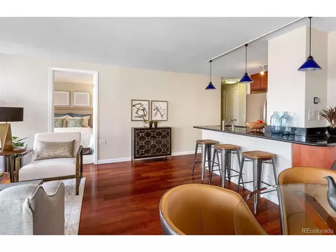 1150 Vine St #404, Denver, CO 80206 photo 13