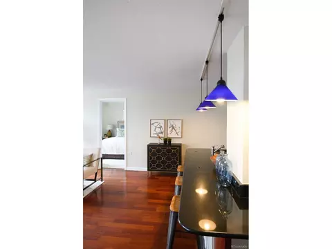 1150 Vine St #404, Denver, CO 80206 photo 10