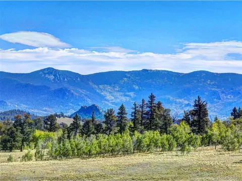 225 Antelope Way, Como, CO 80432 photo 13