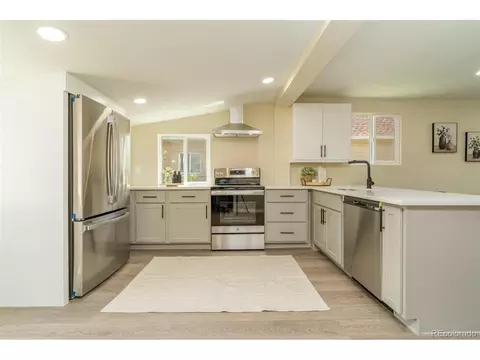 638 Knox Ct, Denver, CO 80204 photo 10