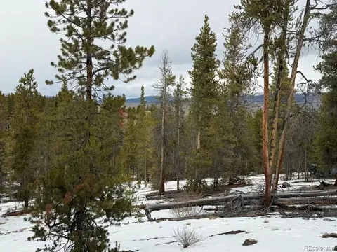 124 Lodgepole Dr, Twin Lakes, CO 81251