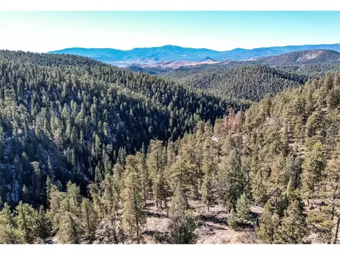 29834 Sunset Trail Trl, Pine, CO 80470 photo 8