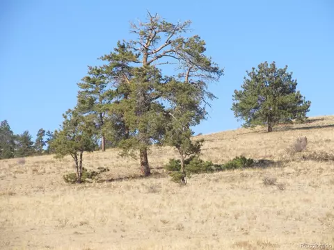 5109 Arikara Trl, Hartsel, CO 80449