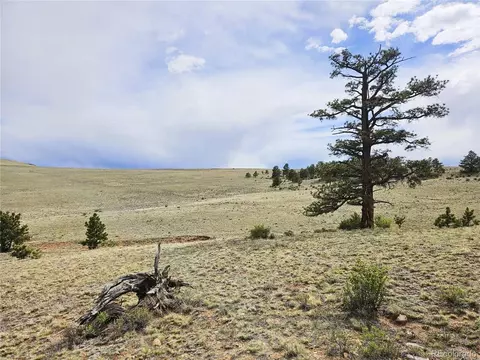 24131 Chato Rd, Hartsel, CO 80449