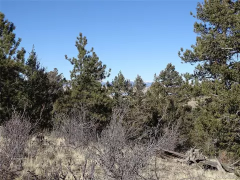 72 Hackamore Ct, Hartsel, CO 80449 photo 14
