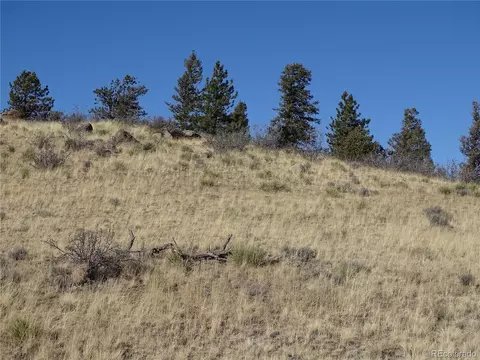 72 Hackamore Ct, Hartsel, CO 80449 photo 9