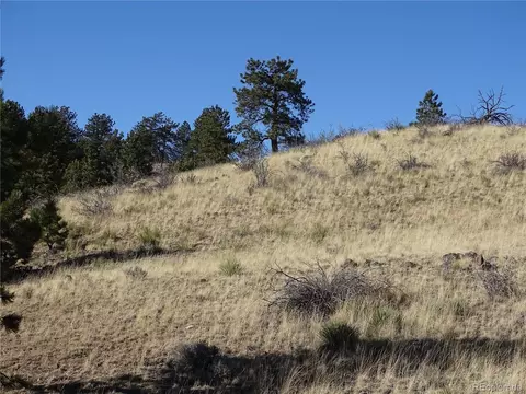 72 Hackamore Ct, Hartsel, CO 80449 photo 10