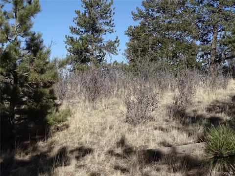 72 Hackamore Ct, Hartsel, CO 80449 photo 11