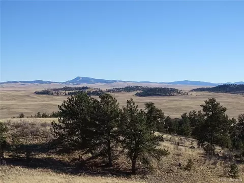72 Hackamore Ct, Hartsel, CO 80449 photo 3