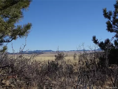 72 Hackamore Ct, Hartsel, CO 80449 photo 12