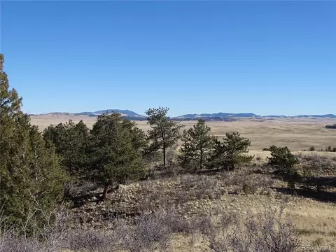 72 Hackamore Ct, Hartsel, CO 80449 photo 22