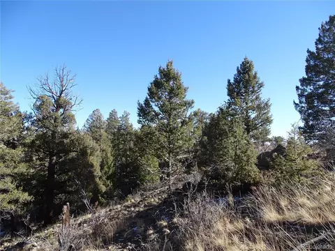 72 Hackamore Ct, Hartsel, CO 80449 photo 19