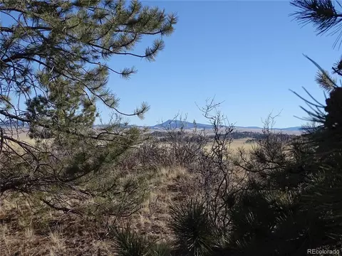 72 Hackamore Ct, Hartsel, CO 80449 photo 13