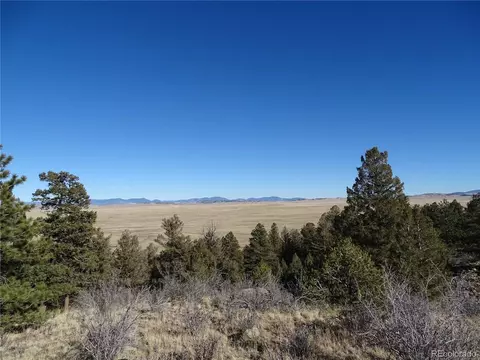 72 Hackamore Ct, Hartsel, CO 80449 photo 24