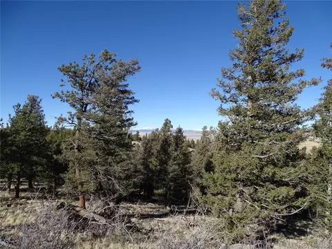 72 Hackamore Ct, Hartsel, CO 80449 photo 28