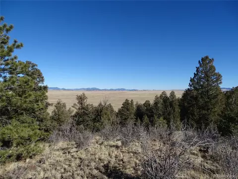 72 Hackamore Ct, Hartsel, CO 80449 photo 20
