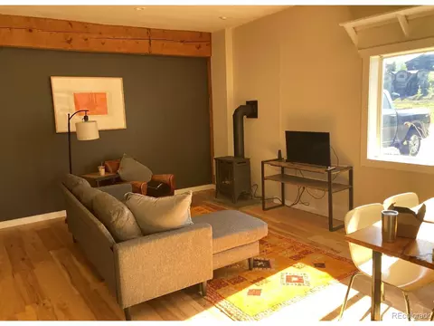 217 Gillaspey Ave #1, Crested Butte, CO 81224