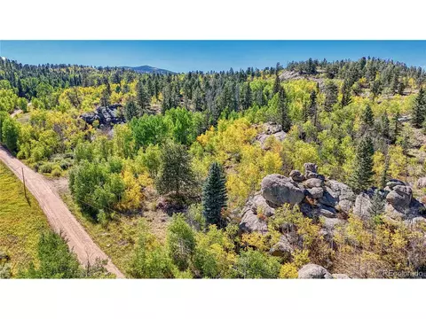 807 Eagle Rock Rd, Lake George, CO 80827