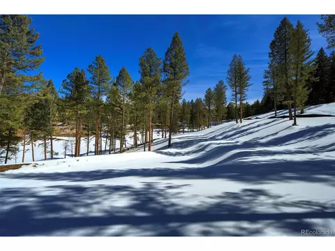 20606 Swaying Pine Dr, Morrison, CO 80465 photo 9