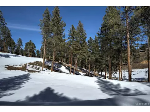 20606 Swaying Pine Dr, Morrison, CO 80465 photo 6