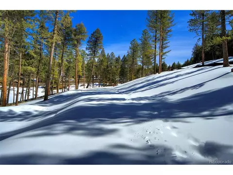 20606 Swaying Pine Dr, Morrison, CO 80465 photo 7