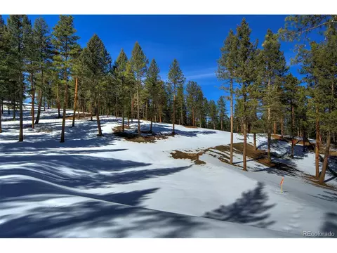 20606 Swaying Pine Dr, Morrison, CO 80465 photo 3