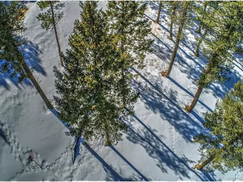 20606 Swaying Pine Dr, Morrison, CO 80465 photo 10