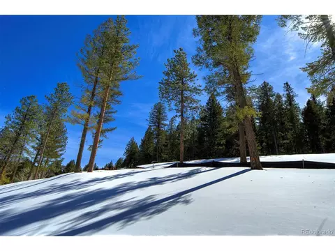 20606 Swaying Pine Dr, Morrison, CO 80465 photo 4