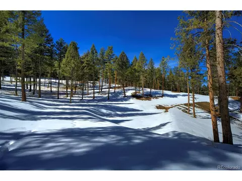20606 Swaying Pine Dr, Morrison, CO 80465 photo 2