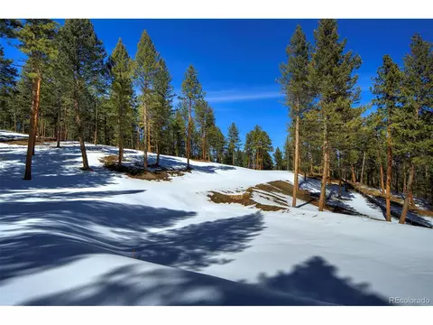 20606 Swaying Pine Dr, Morrison, CO 80465 photo 5