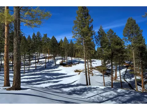 20606 Swaying Pine Dr, Morrison, CO 80465