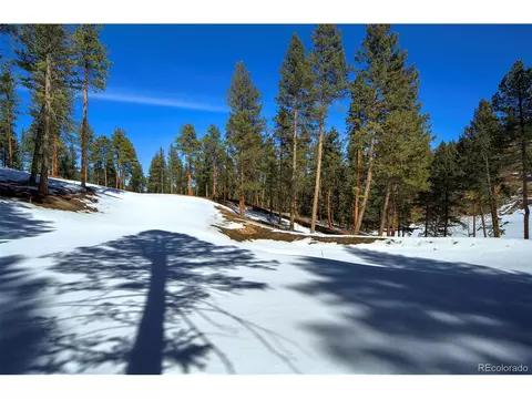 20606 Swaying Pine Dr, Morrison, CO 80465 photo 8
