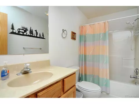 1733 Blacksmith Rd, Hartsel, CO 80449 photo 18