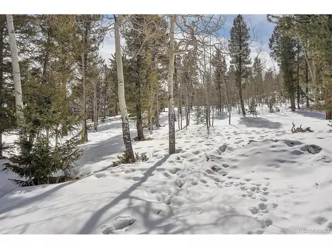 1733 Blacksmith Rd, Hartsel, CO 80449 photo 6