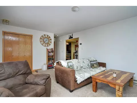 1733 Blacksmith Rd, Hartsel, CO 80449 photo 10