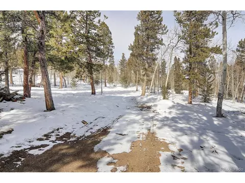 1733 Blacksmith Rd, Hartsel, CO 80449 photo 5