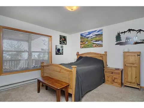 1733 Blacksmith Rd, Hartsel, CO 80449 photo 15