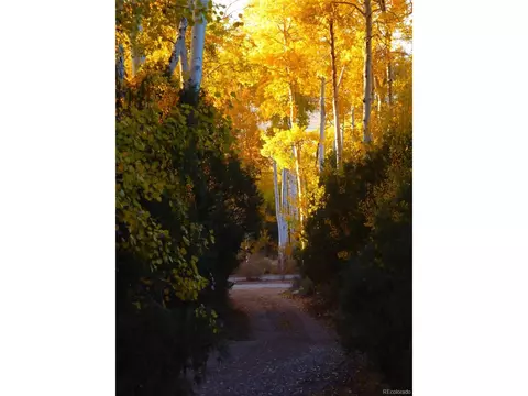 250 Big Bear Rd, Mosca, CO 81146 photo 34