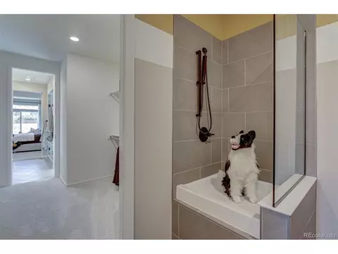 17539 E 103rd Dr, Commerce City, CO 80022 photo 27