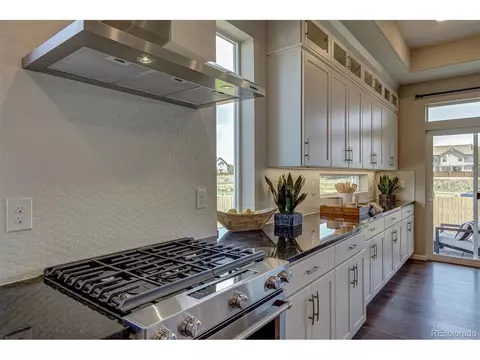 17539 E 103rd Dr, Commerce City, CO 80022 photo 19