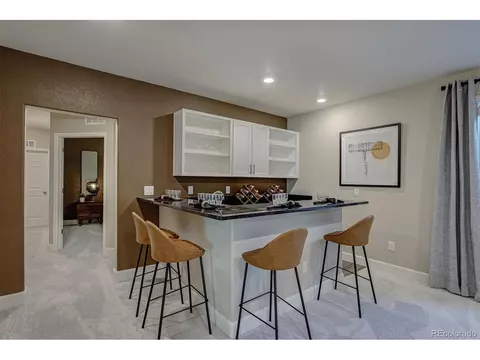 17539 E 103rd Dr, Commerce City, CO 80022 photo 29