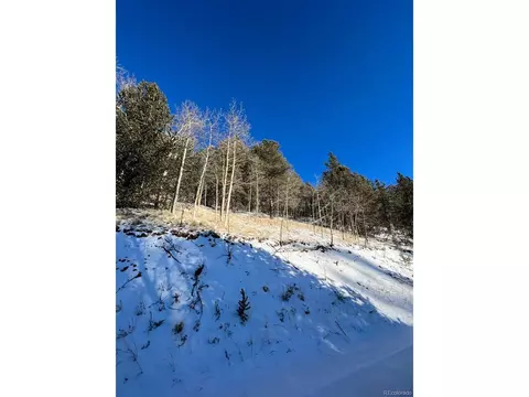 170 Valley Rd, Divide, CO 80814 photo 1