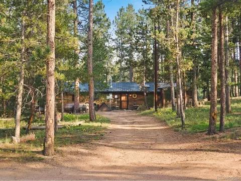 65 Road P-36, Bailey, CO 80421 photo 1