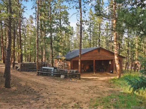 65 Road P-36, Bailey, CO 80421 photo 31