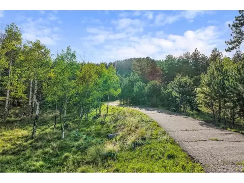 Other - 3763 County Road 43, Bailey, CO 80421 photo 5 of 18