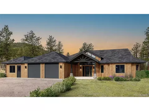 Exterior - 3763 County Road 43, Bailey, CO 80421 photo 4 of 4