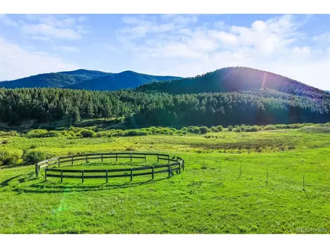Other - 3763 County Road 43, Bailey, CO 80421 photo 15 of 18