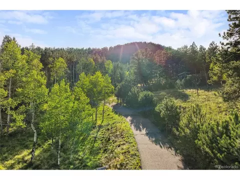 View/Area - 3763 County Road 43, Bailey, CO 80421 photo 10 of 11